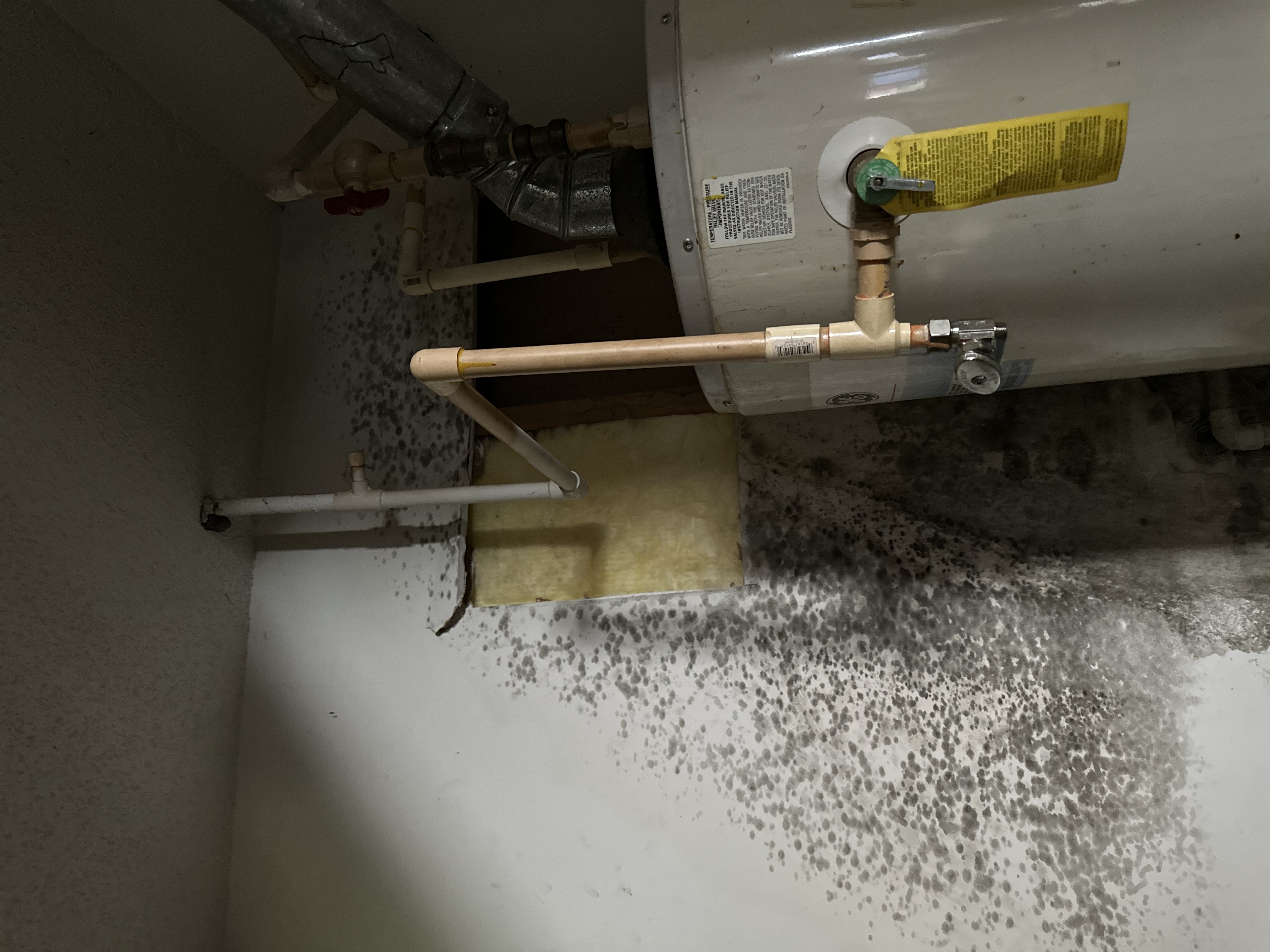 Mold growth near a water heater and plumbing