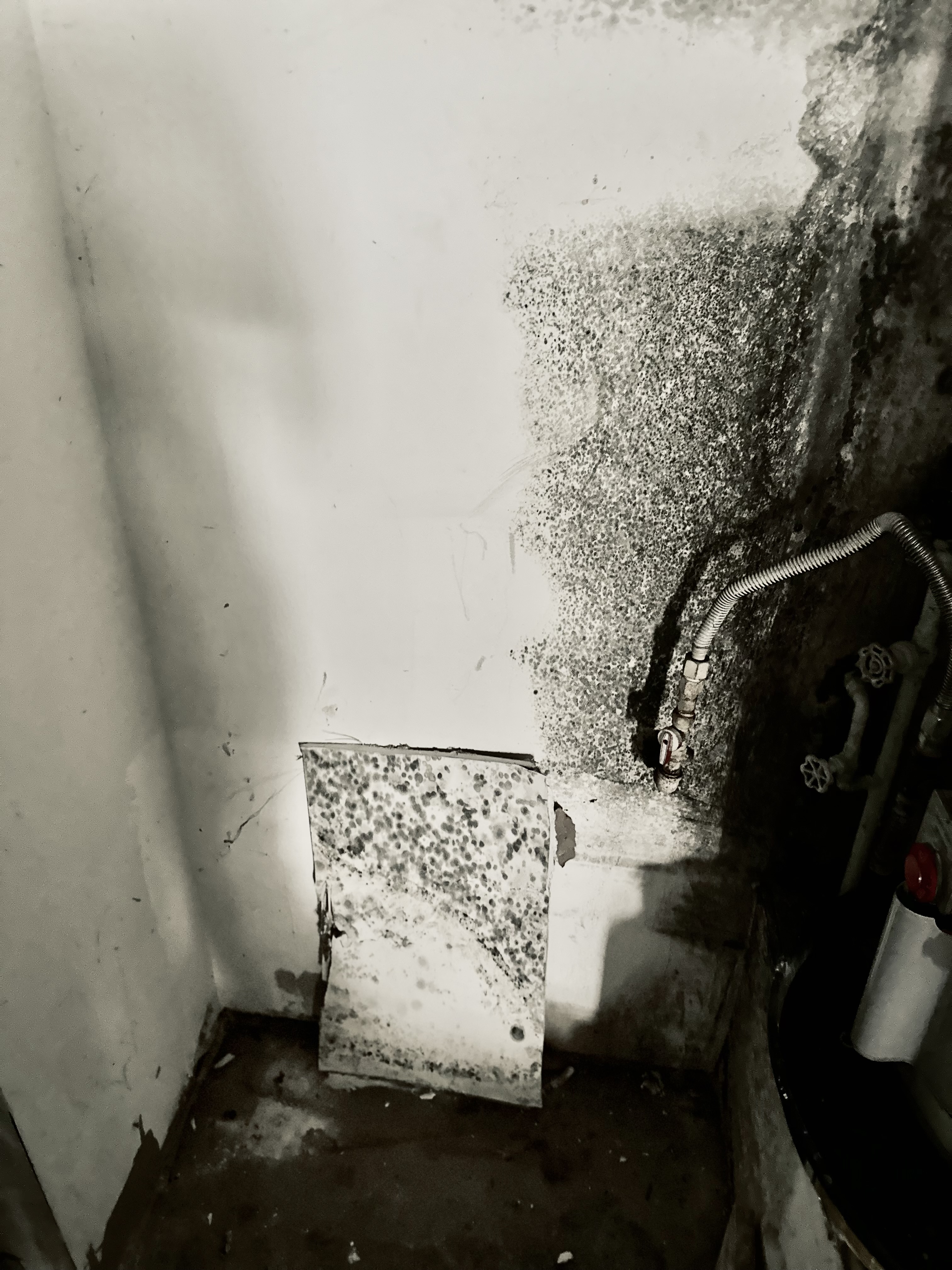 Mold growth on a wall beside exposed plumbing