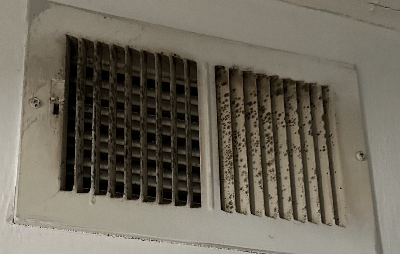 Mold growth visible on a residential air vent